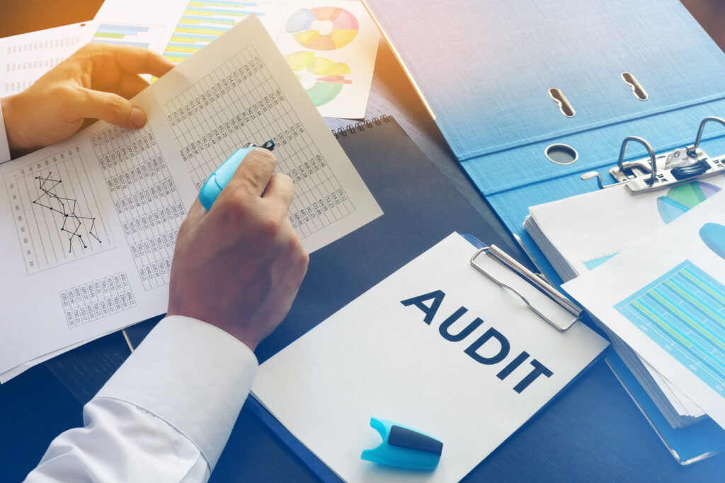 audit protection